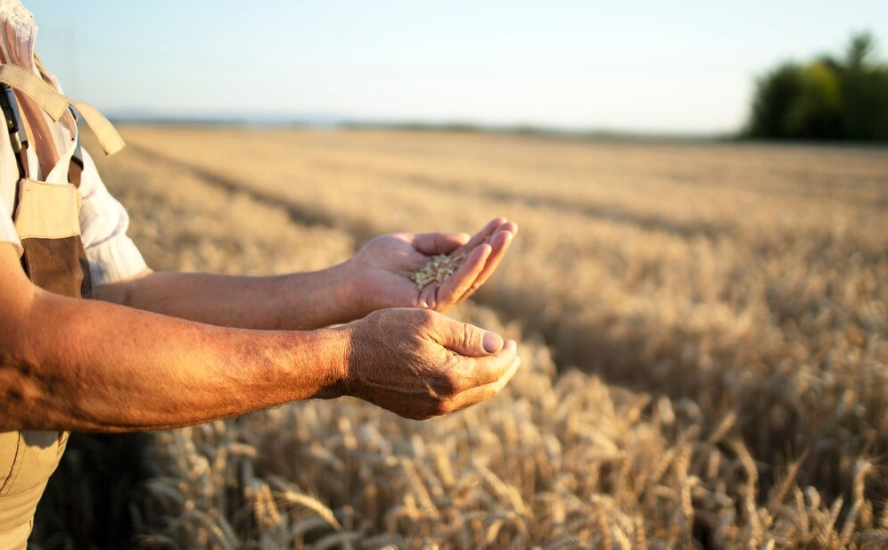 Quer aumentar a produtividade do seu agronegócio? Leia este artigo.